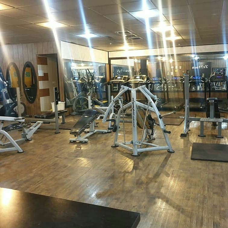 باشگاه زیتون شیراز (ویژه بانوان)
