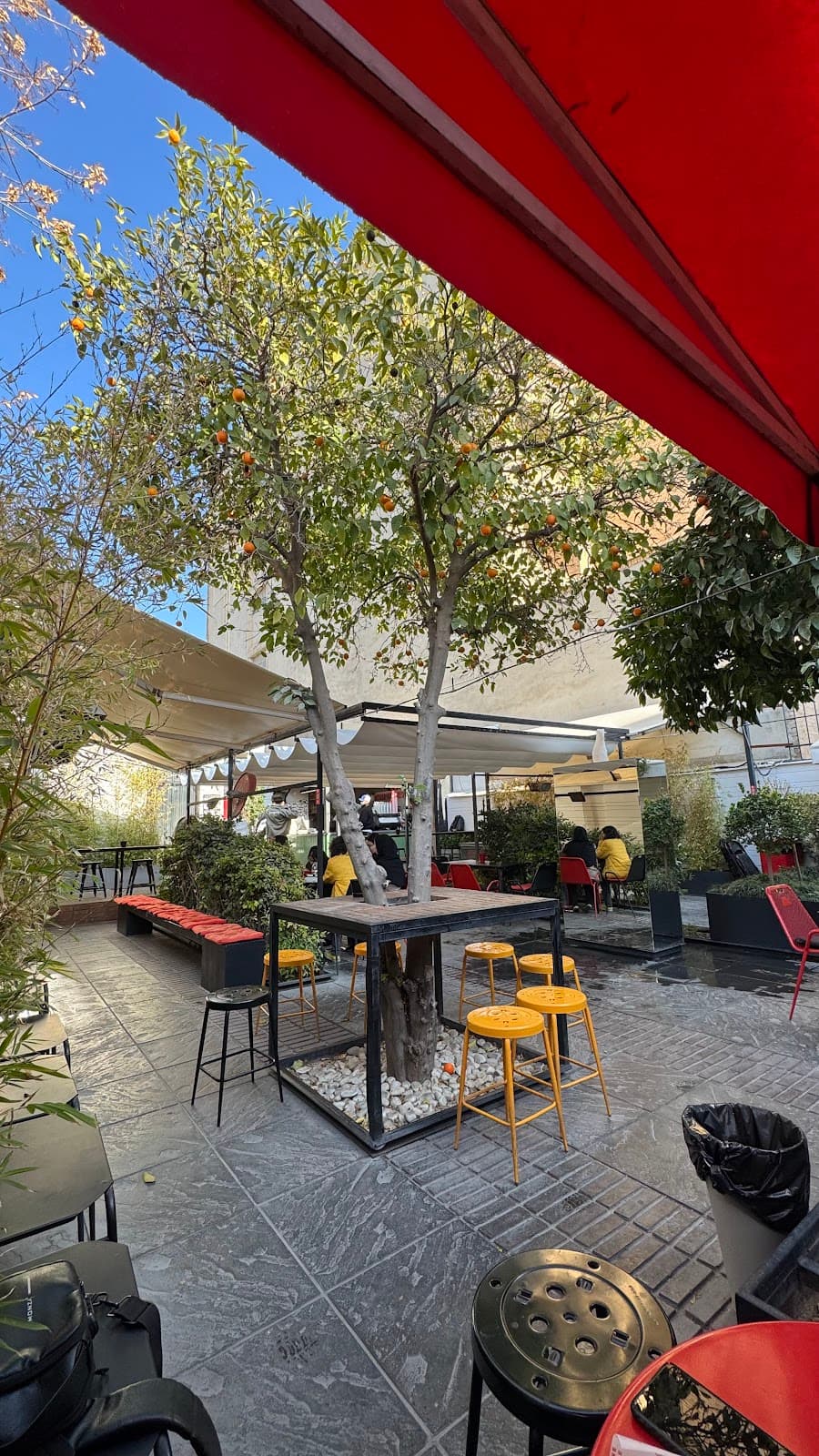 Zone Cafe