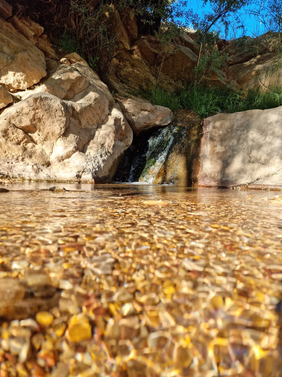Golestan town Shiraz iran