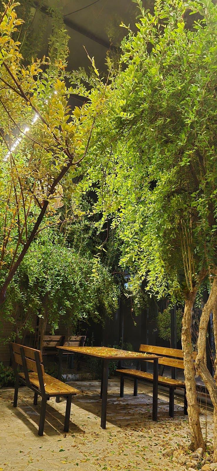 کافه رستوران فرفری 2