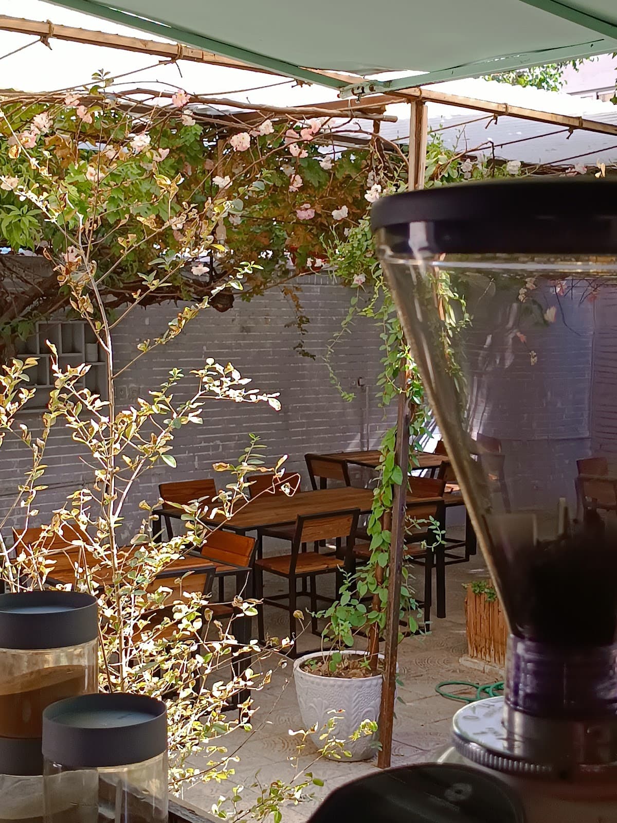 Razzcafe | کافه راز