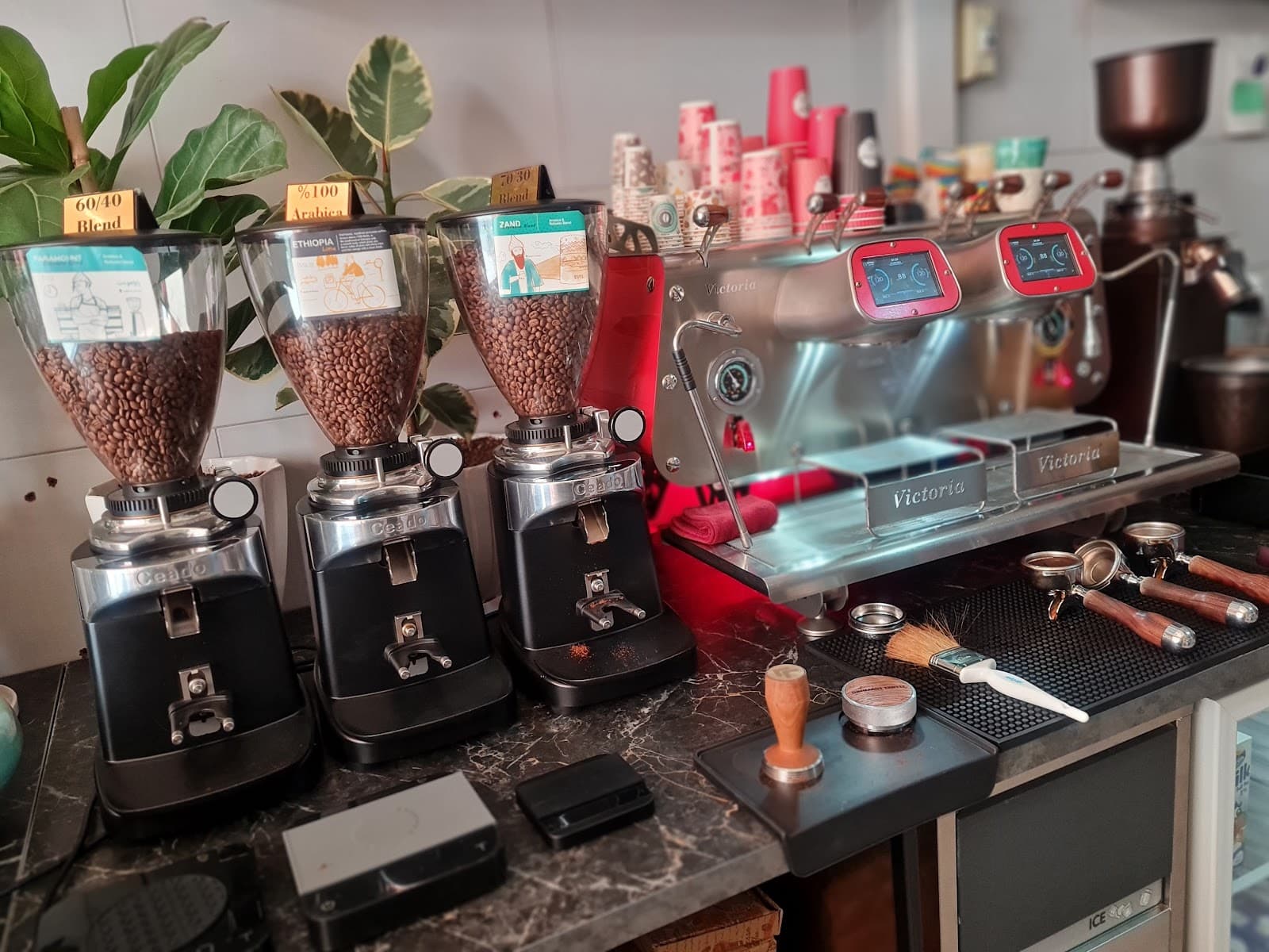 Sarmast Coffee 3