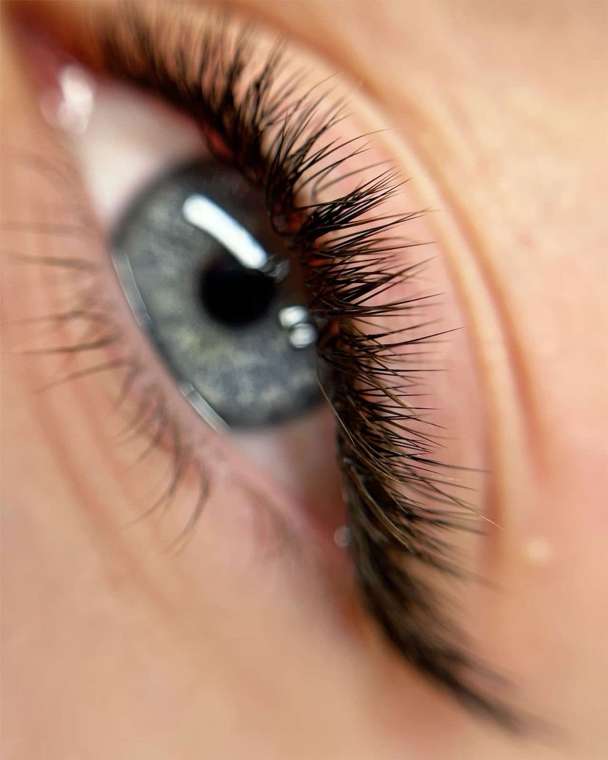 Shahrzad lash studio 4