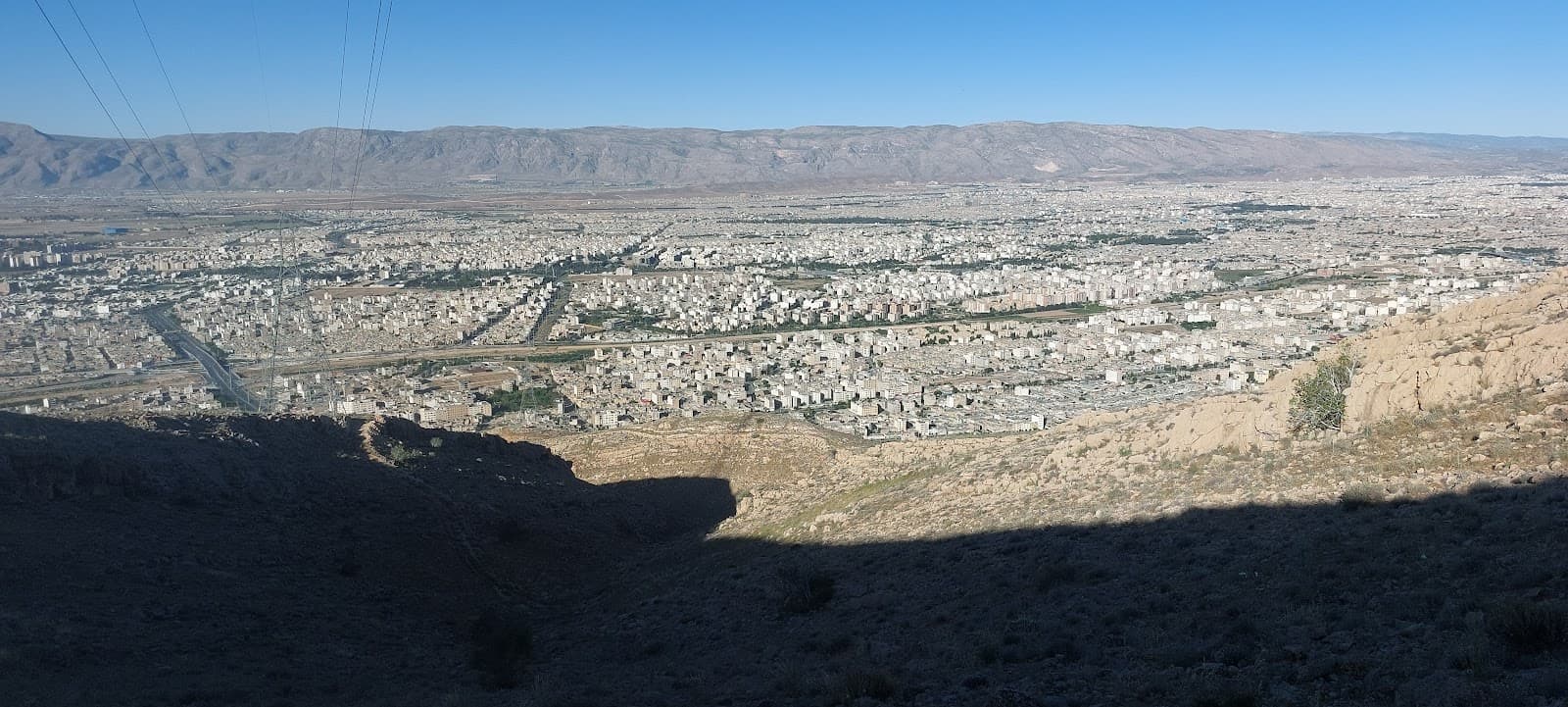 فلاویچ فلافل 2