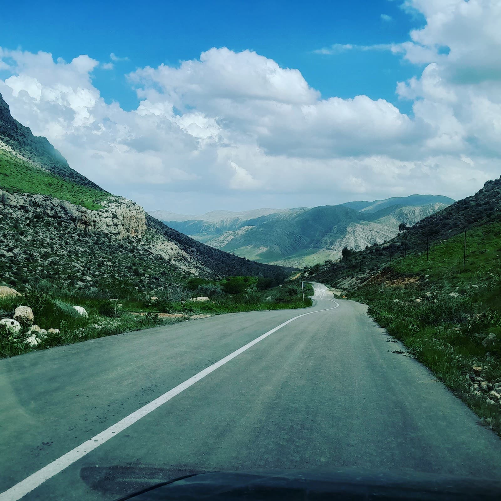 مک برگر 5