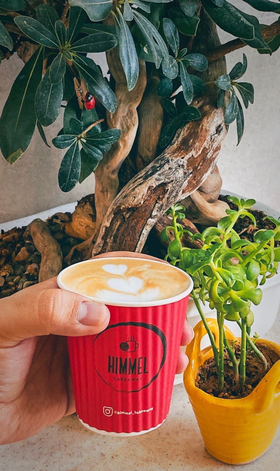 Himmel Takeaway Coffeeshop 2