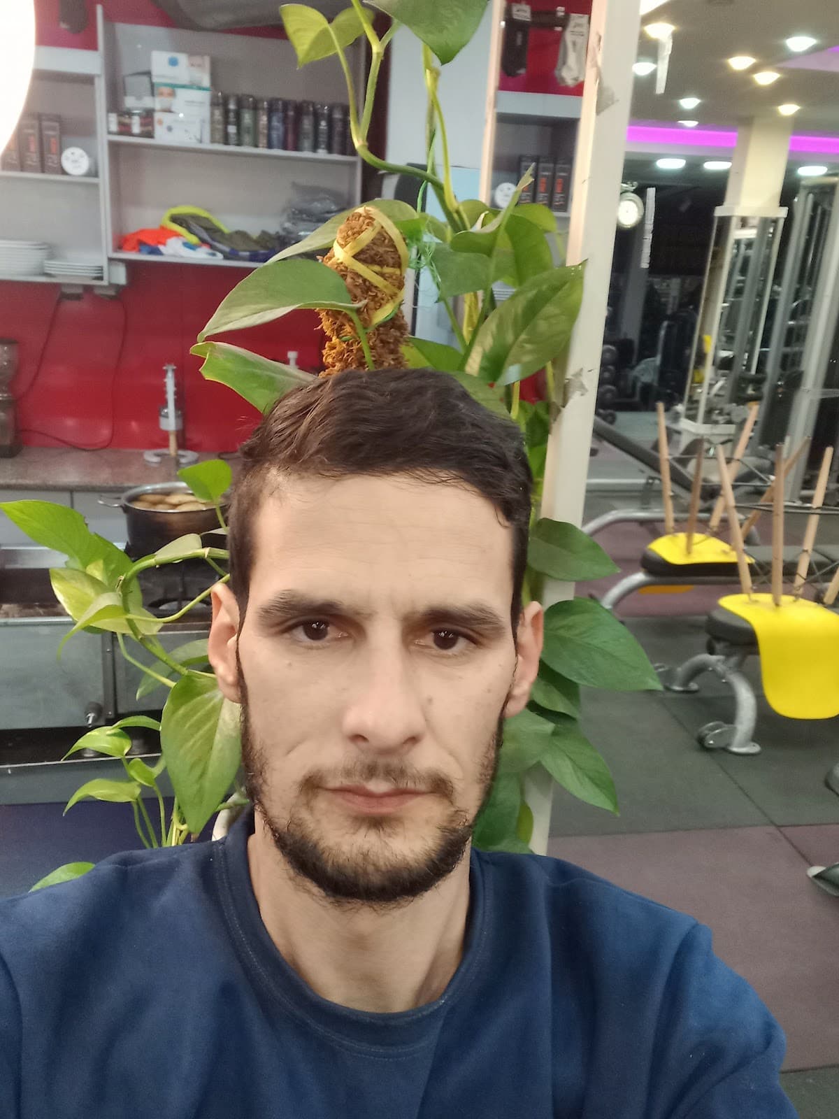 Vista Fitness Club