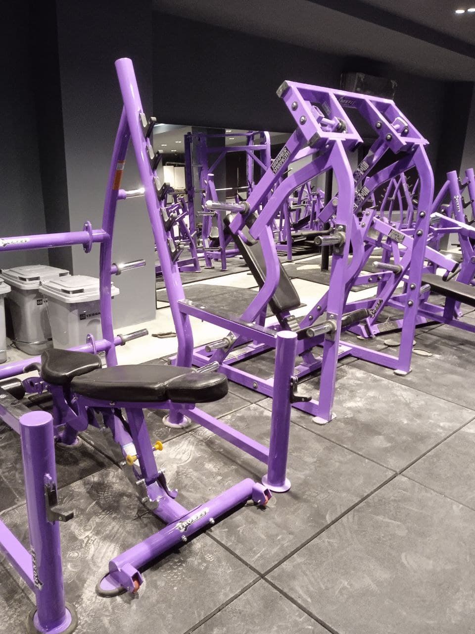 Mrs & Mr Namdar gym 4