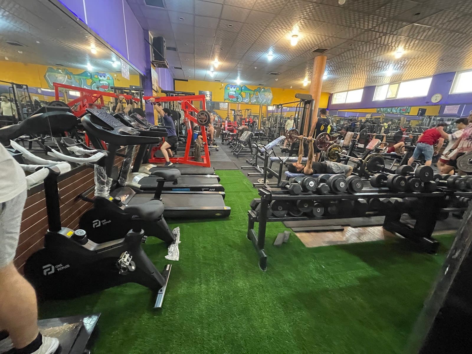 Artam gym & Body building club 2
