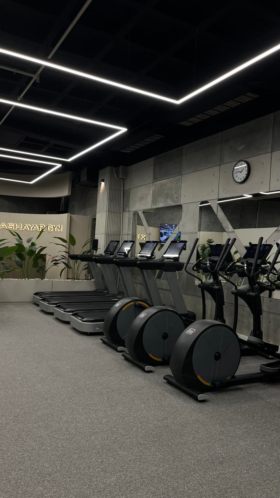 khashayar gym ( women sarvenaz)