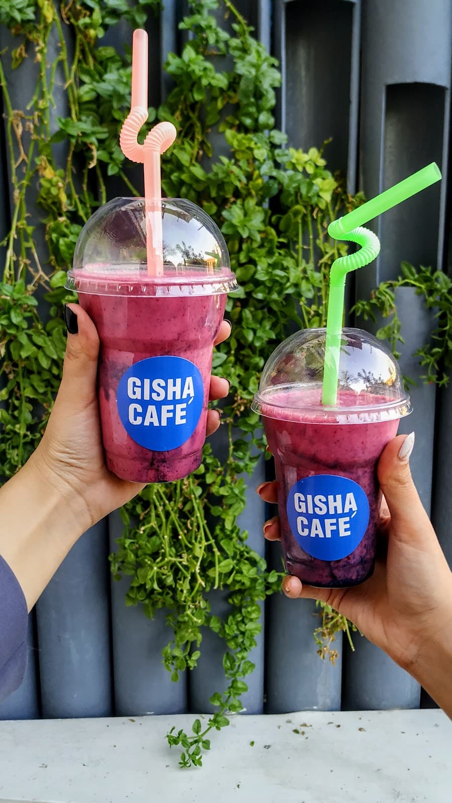 Gisha Cafe 5
