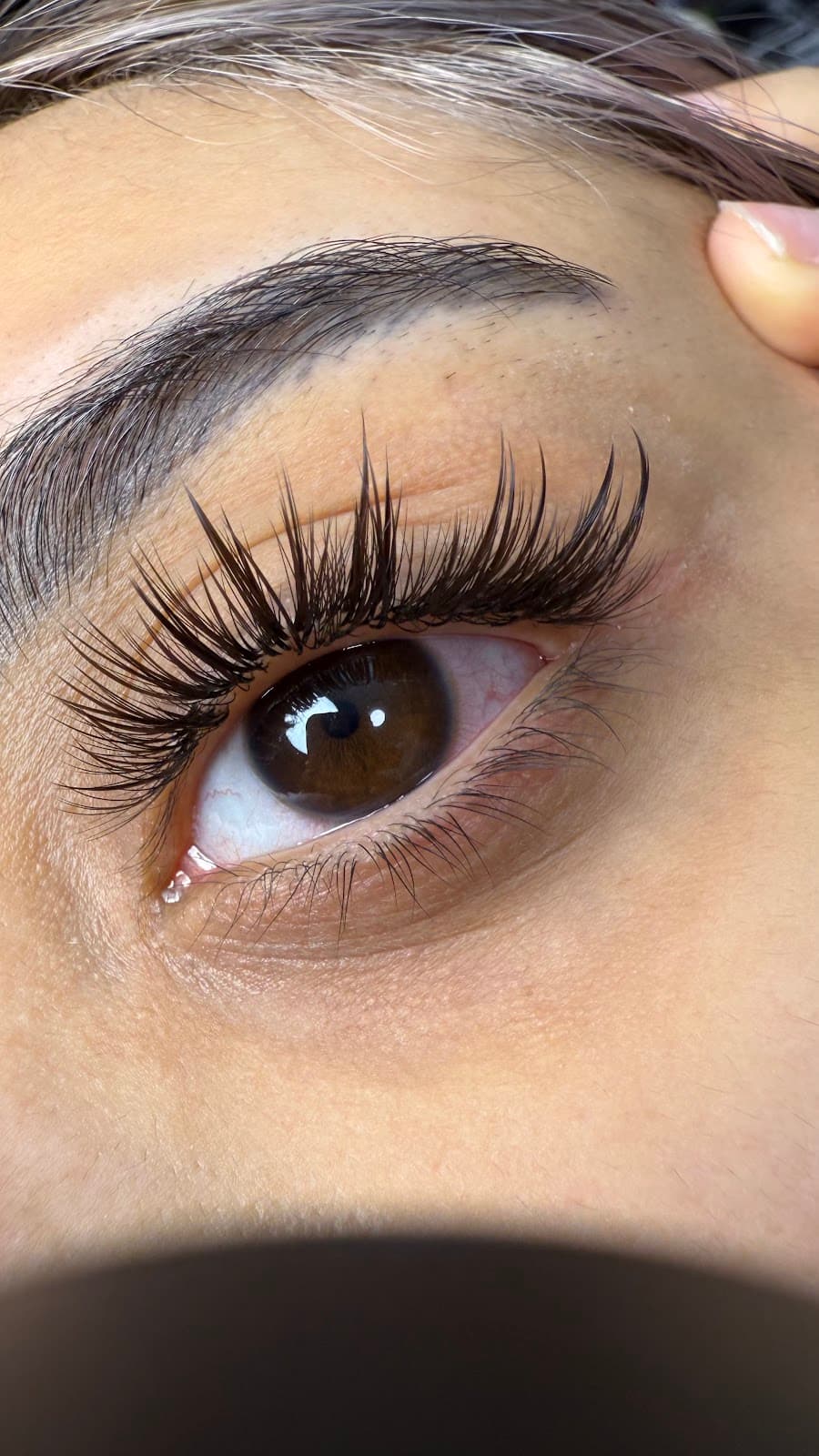 Shahrzad lash studio 2