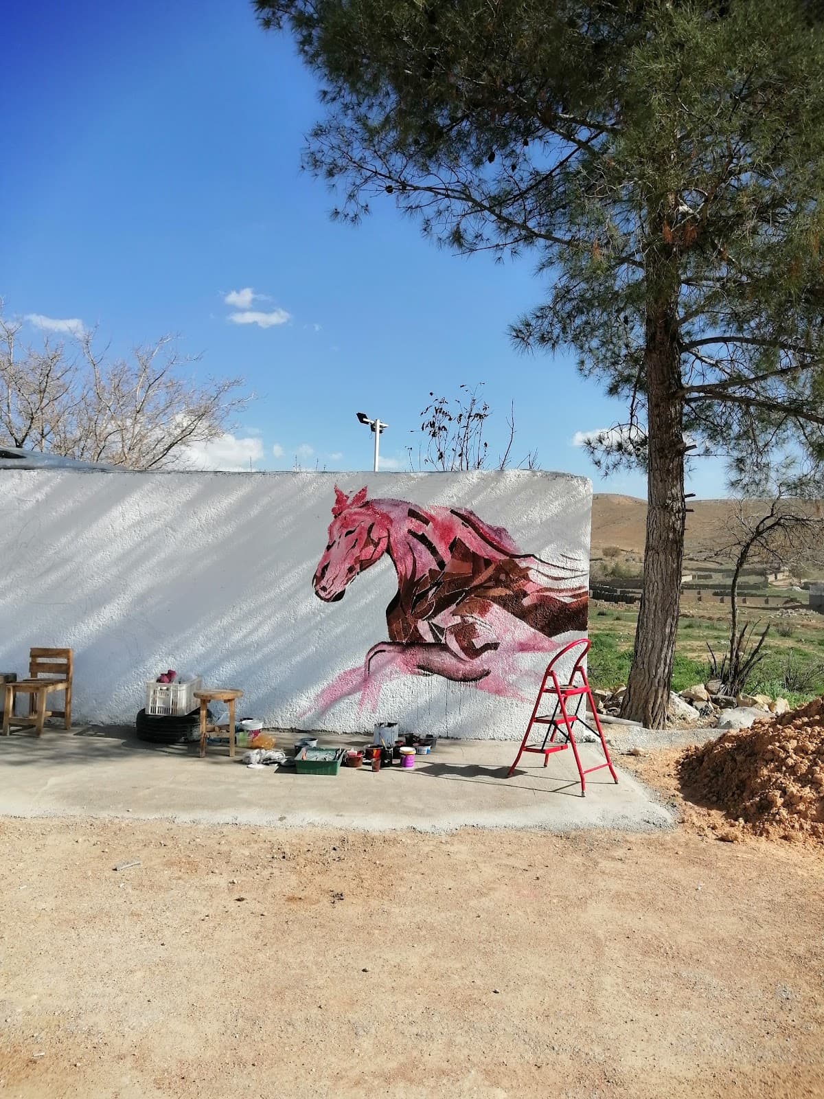 باشگاه سوارکاری اردوان 2
