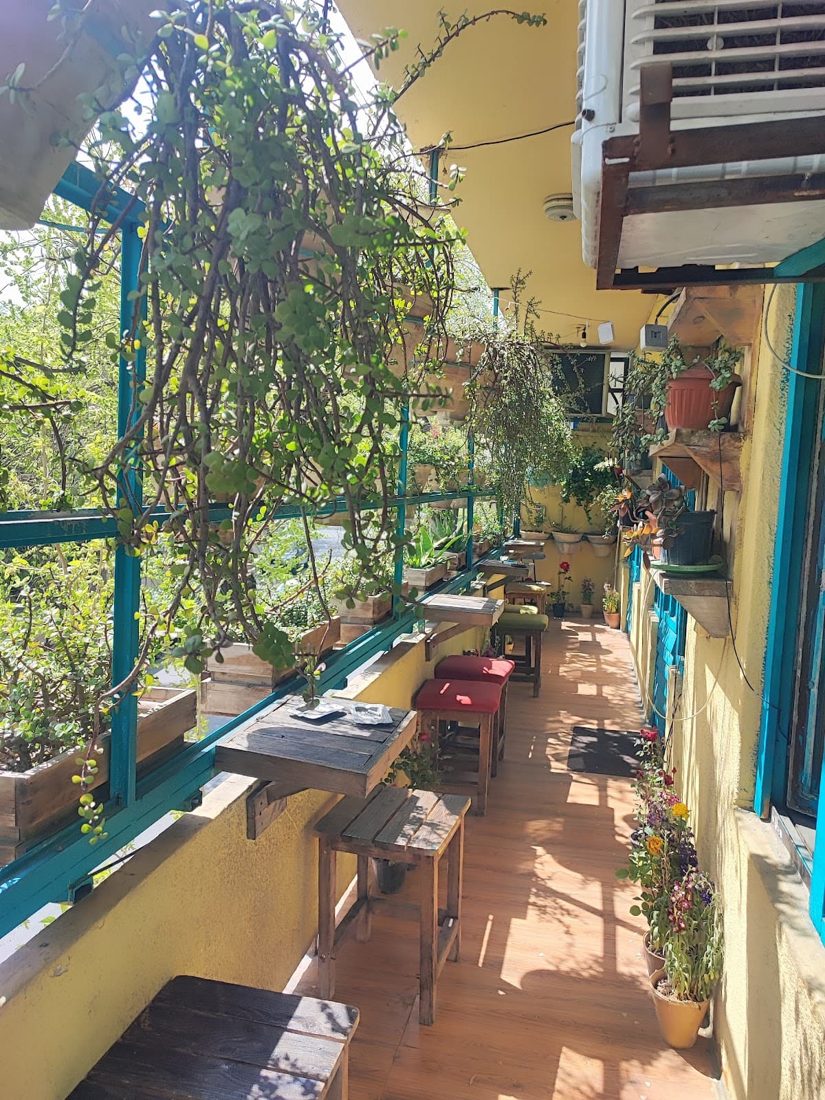 Cafebalcony365 5