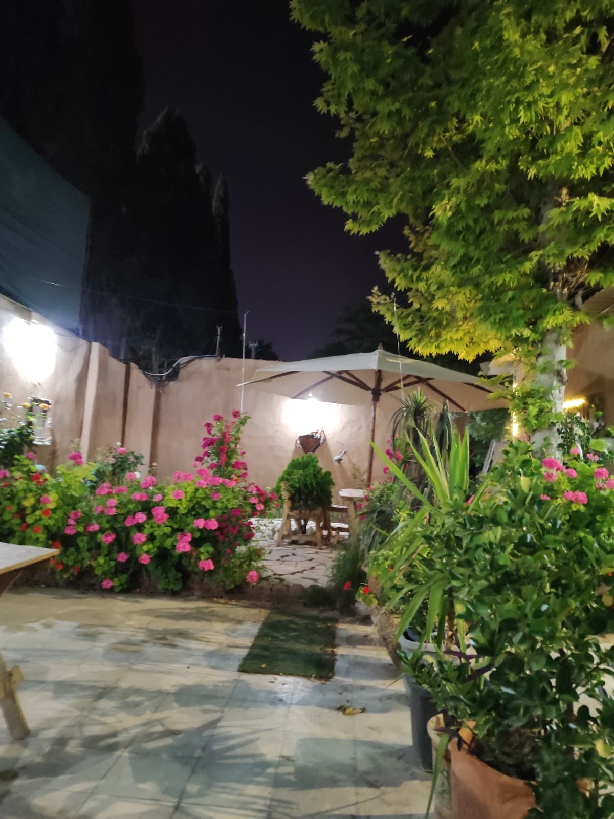 باشگاه بدنسازی آبشناسان 5