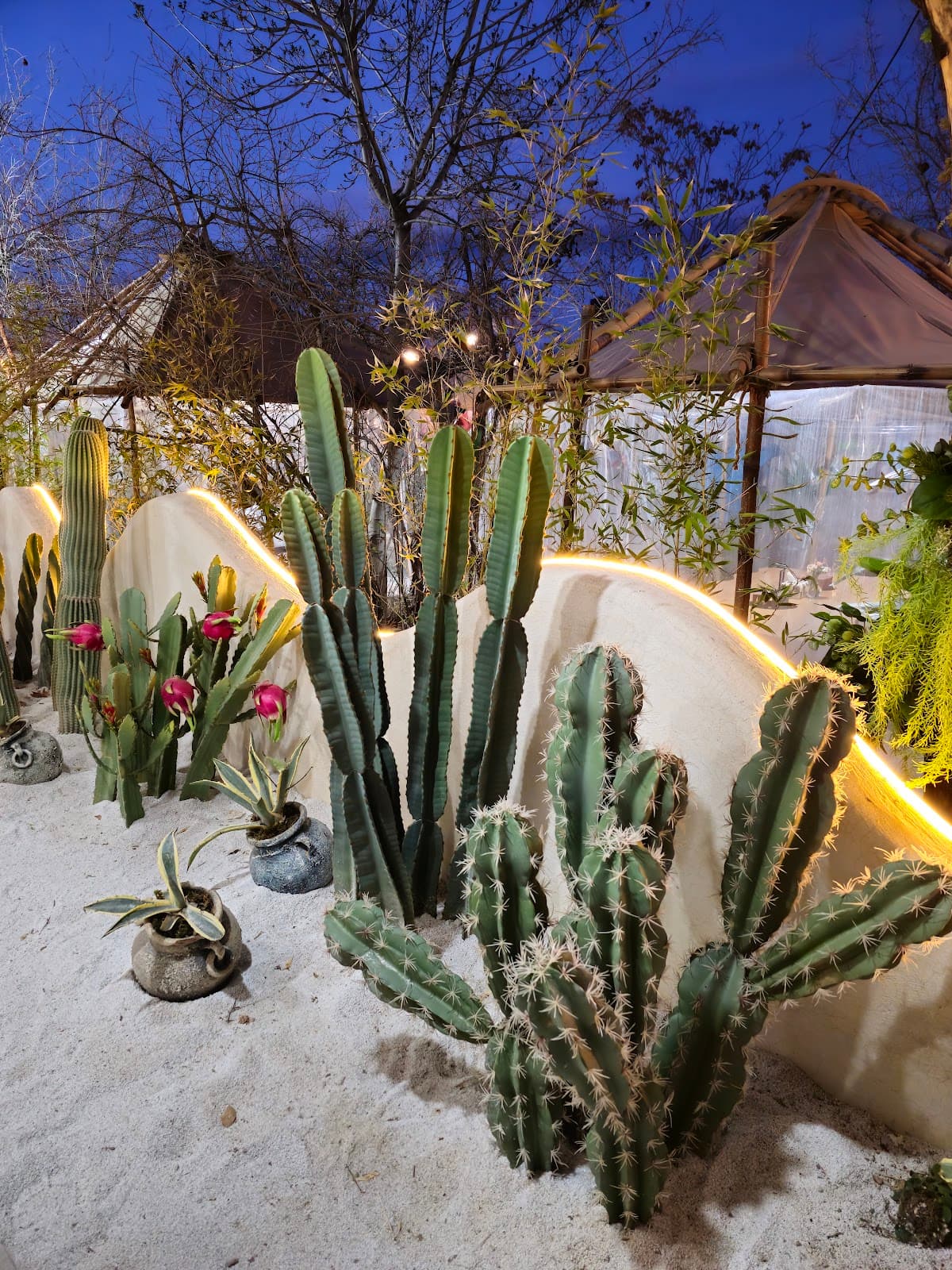 Cuba Flower Cafe 4