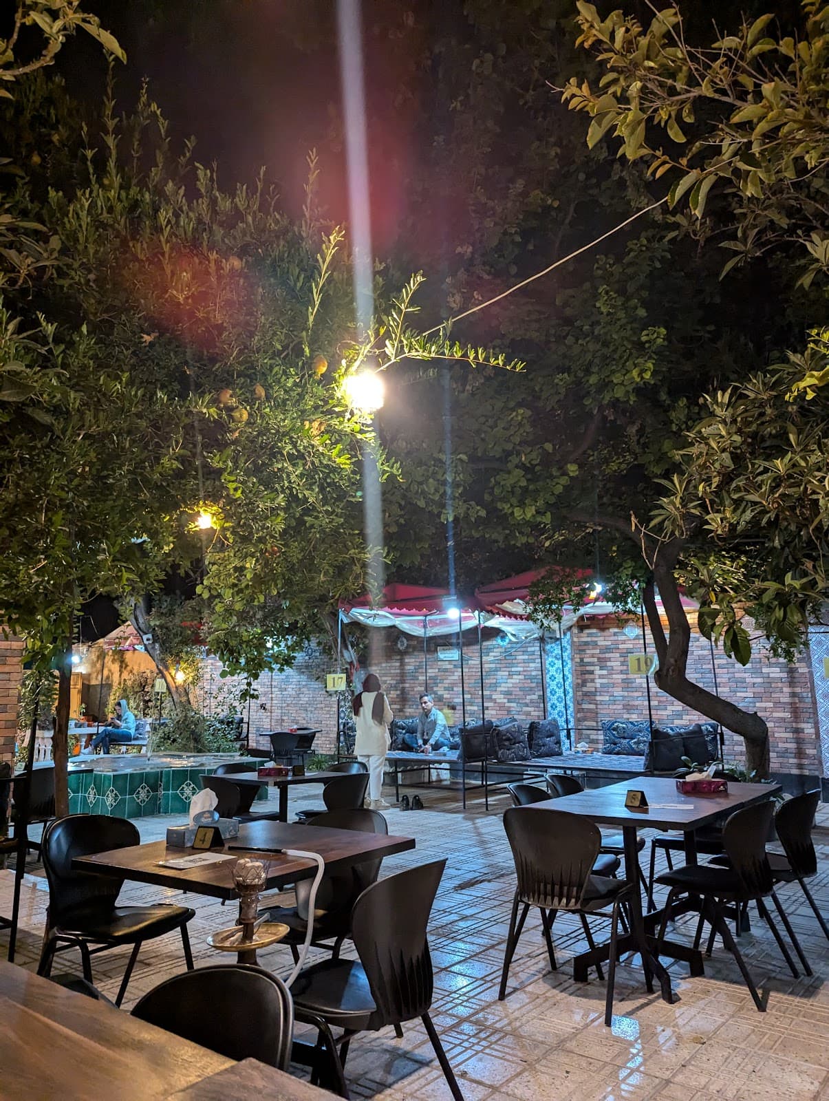 کافه باغ طوبی 5