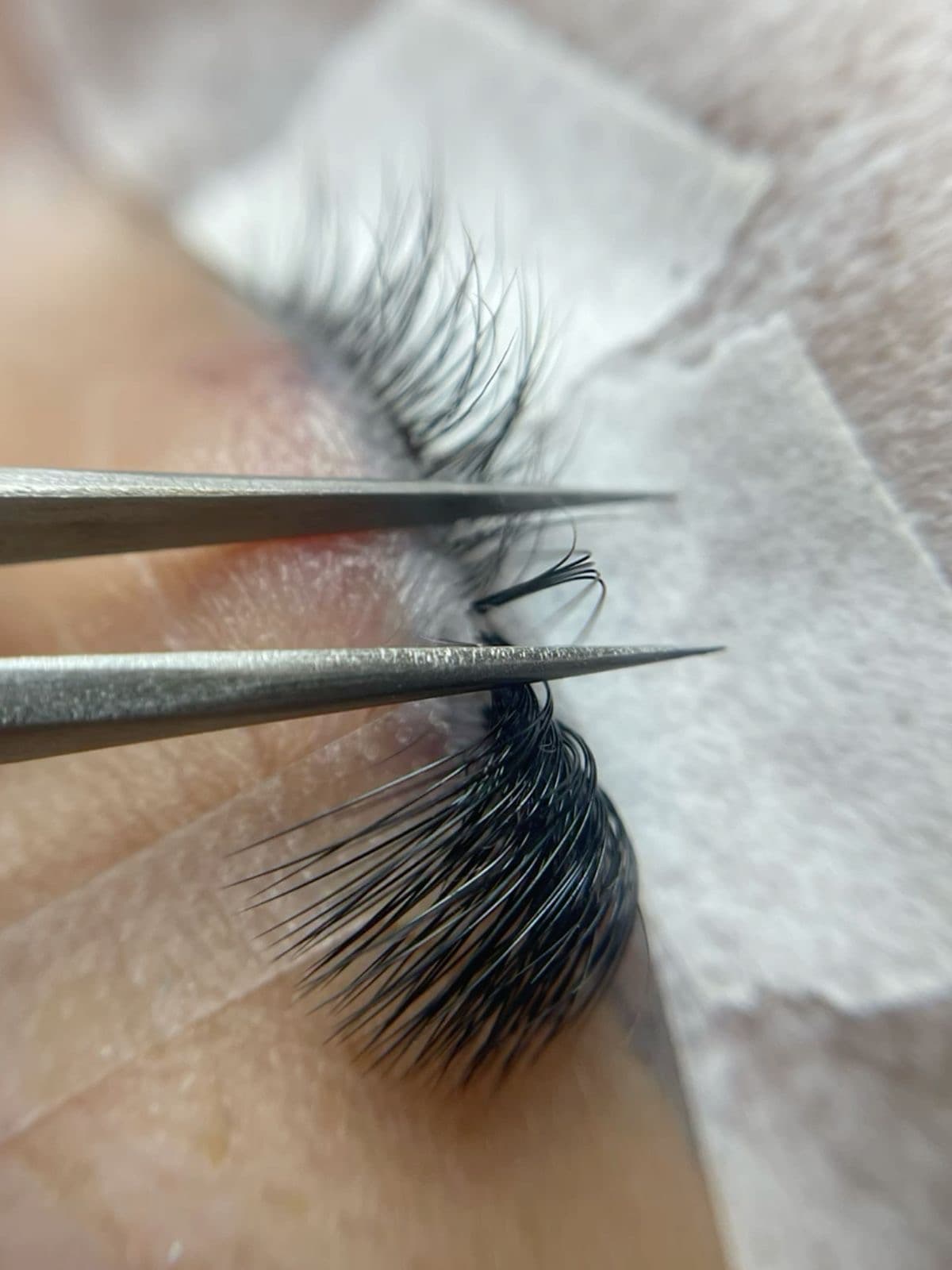 Shahrzad lash studio 5