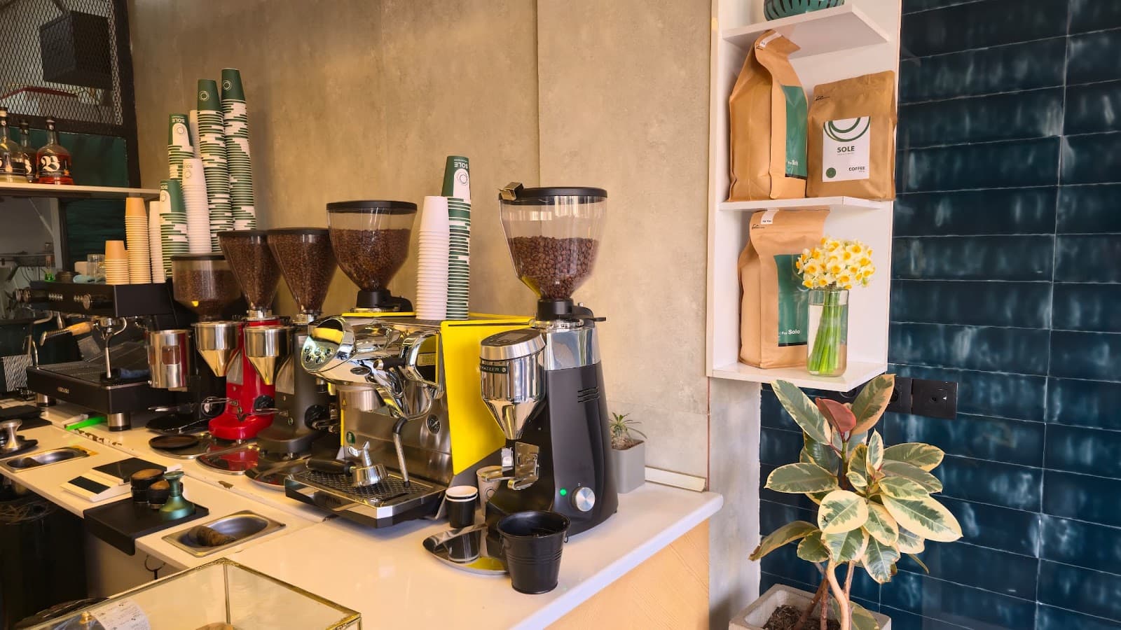 Sole coffee shop قهوه سول 3