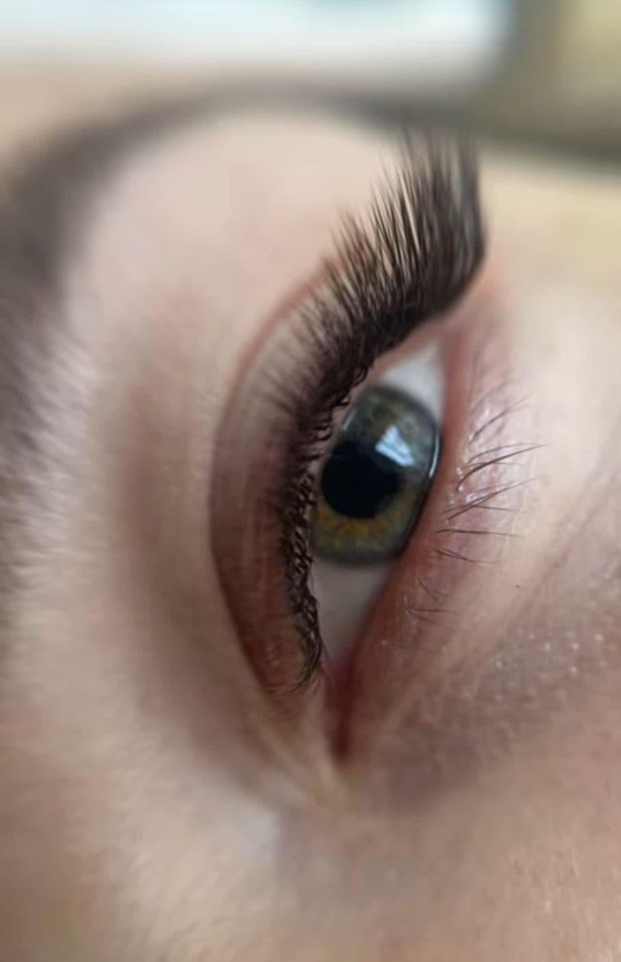Shahrzad lash studio