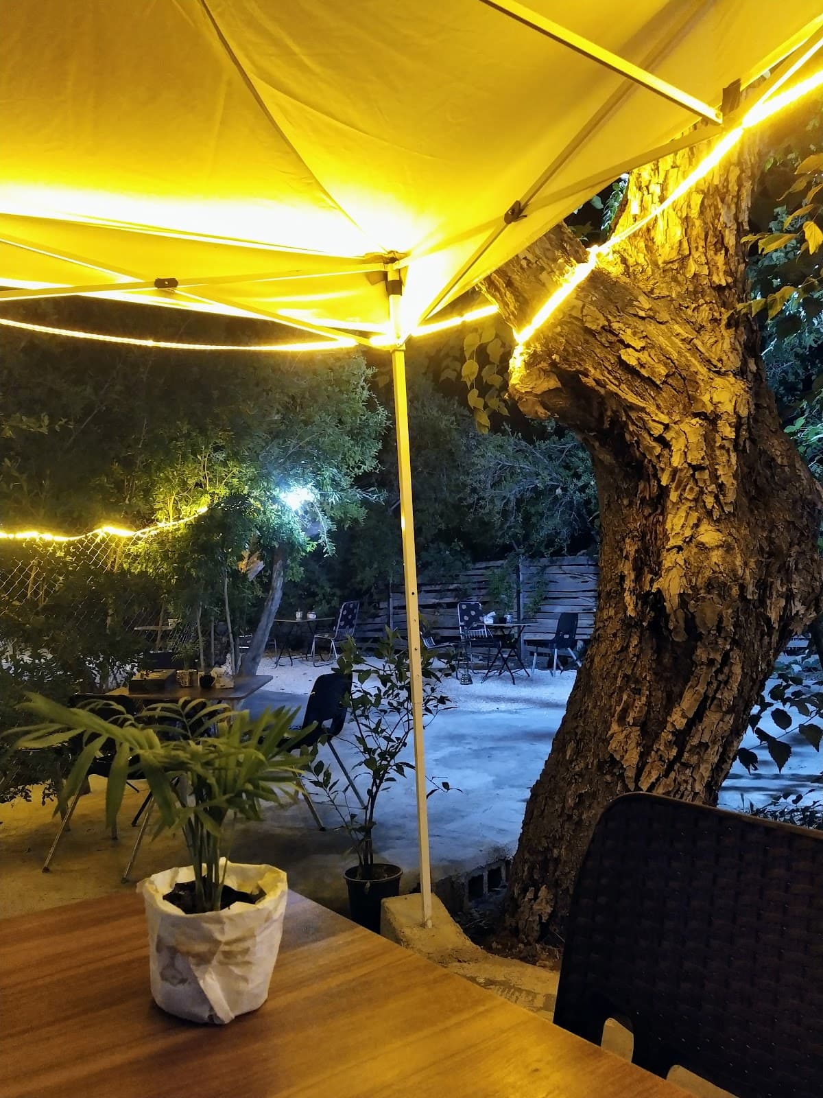 باغ دنج 5