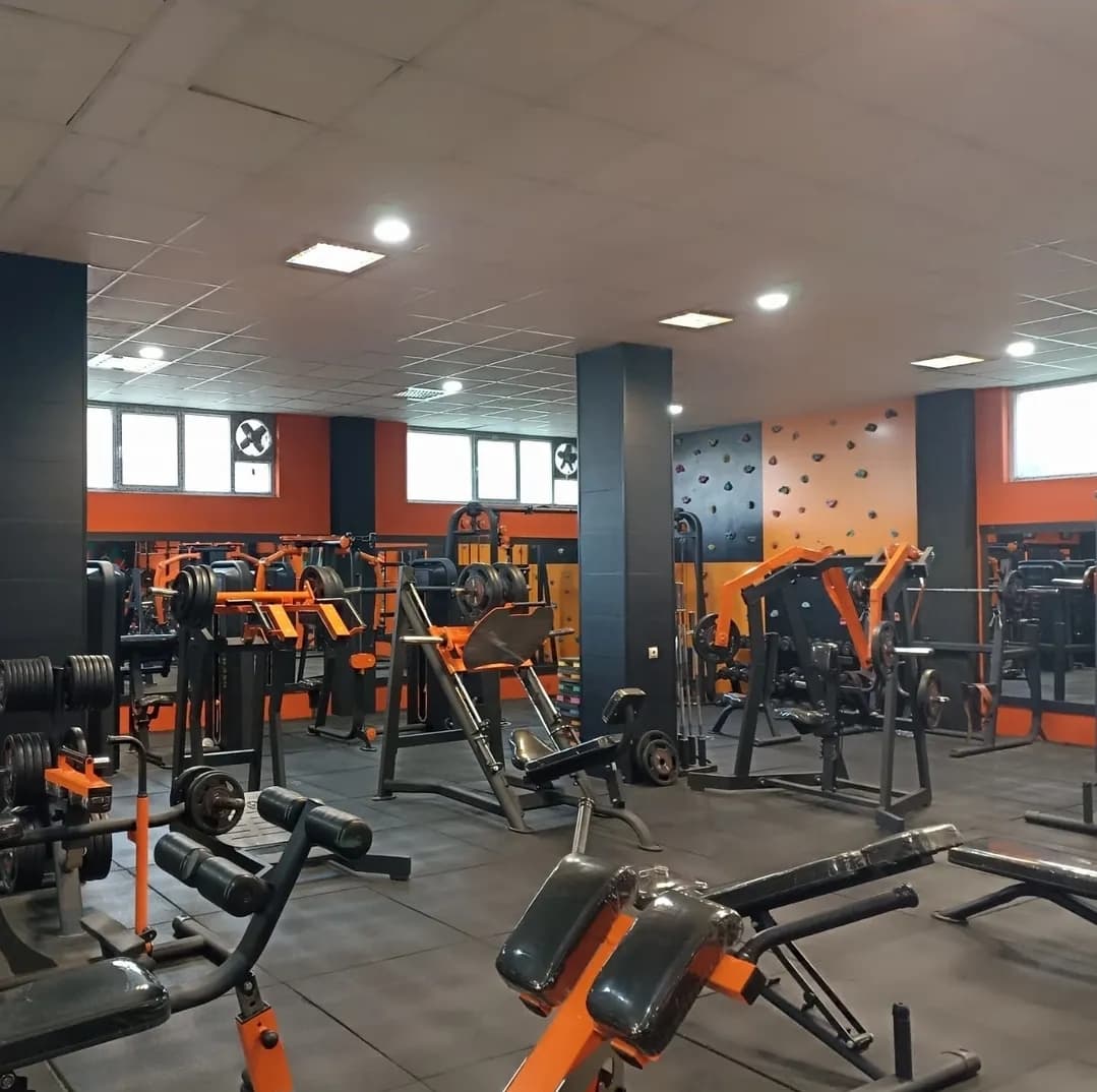 باشگاه ورزشی علم و زندگی