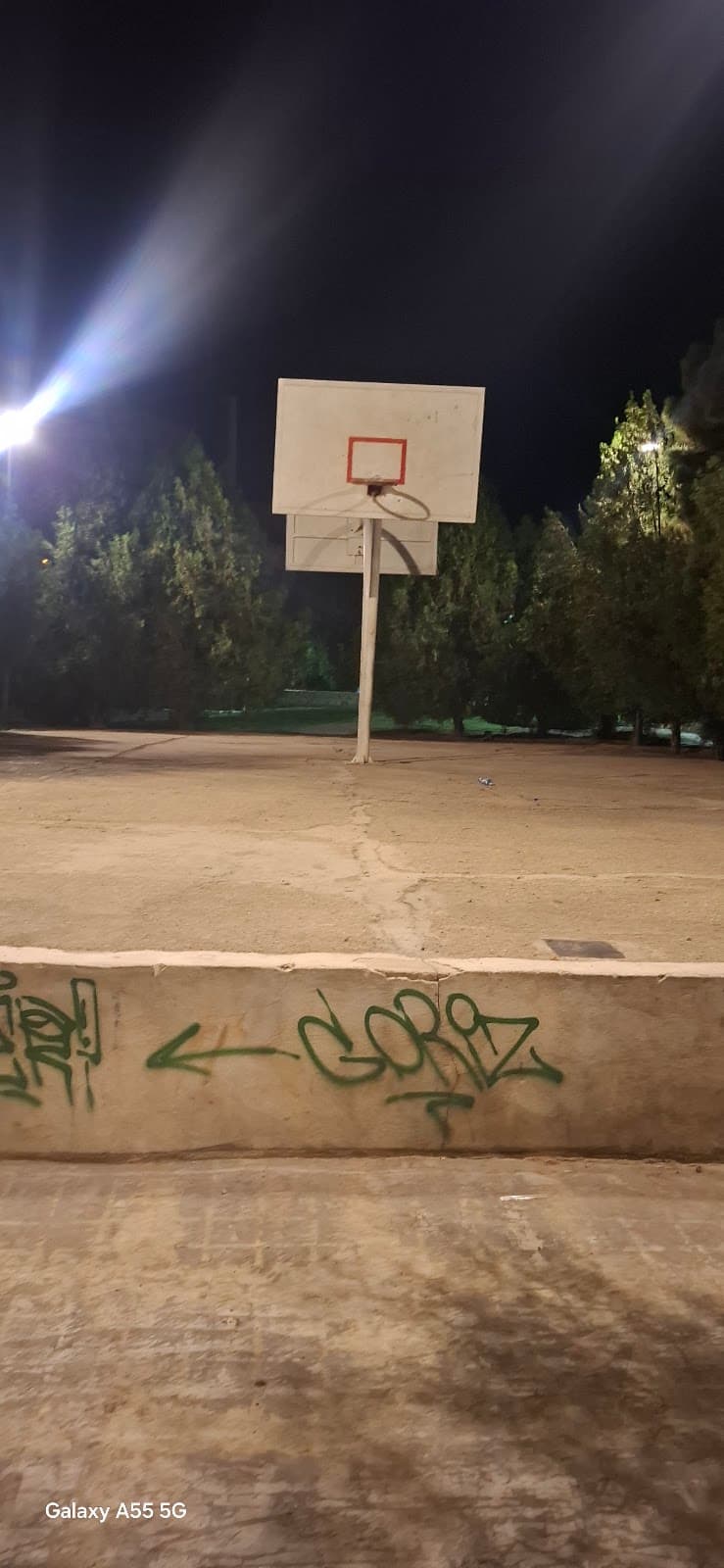 زمین بسکتبال 2