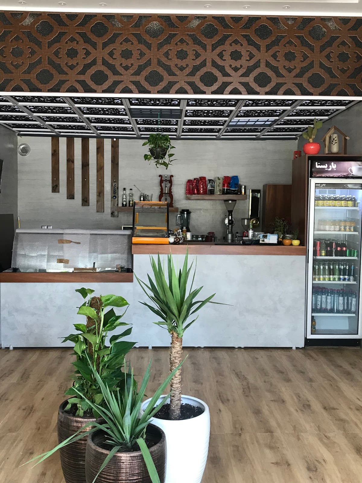 Cafe Barista 3
