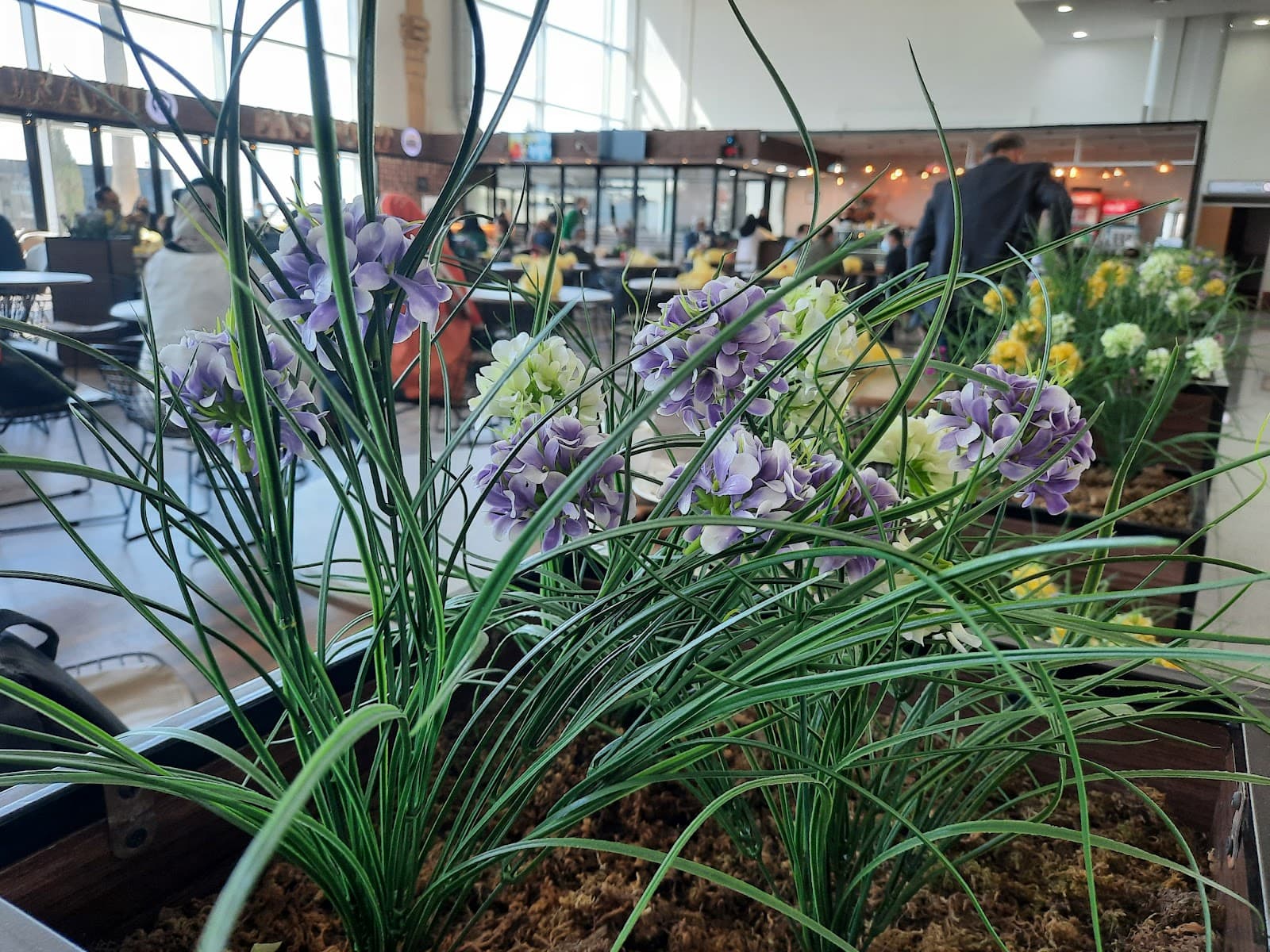 Shiraz Airport Cafe 3