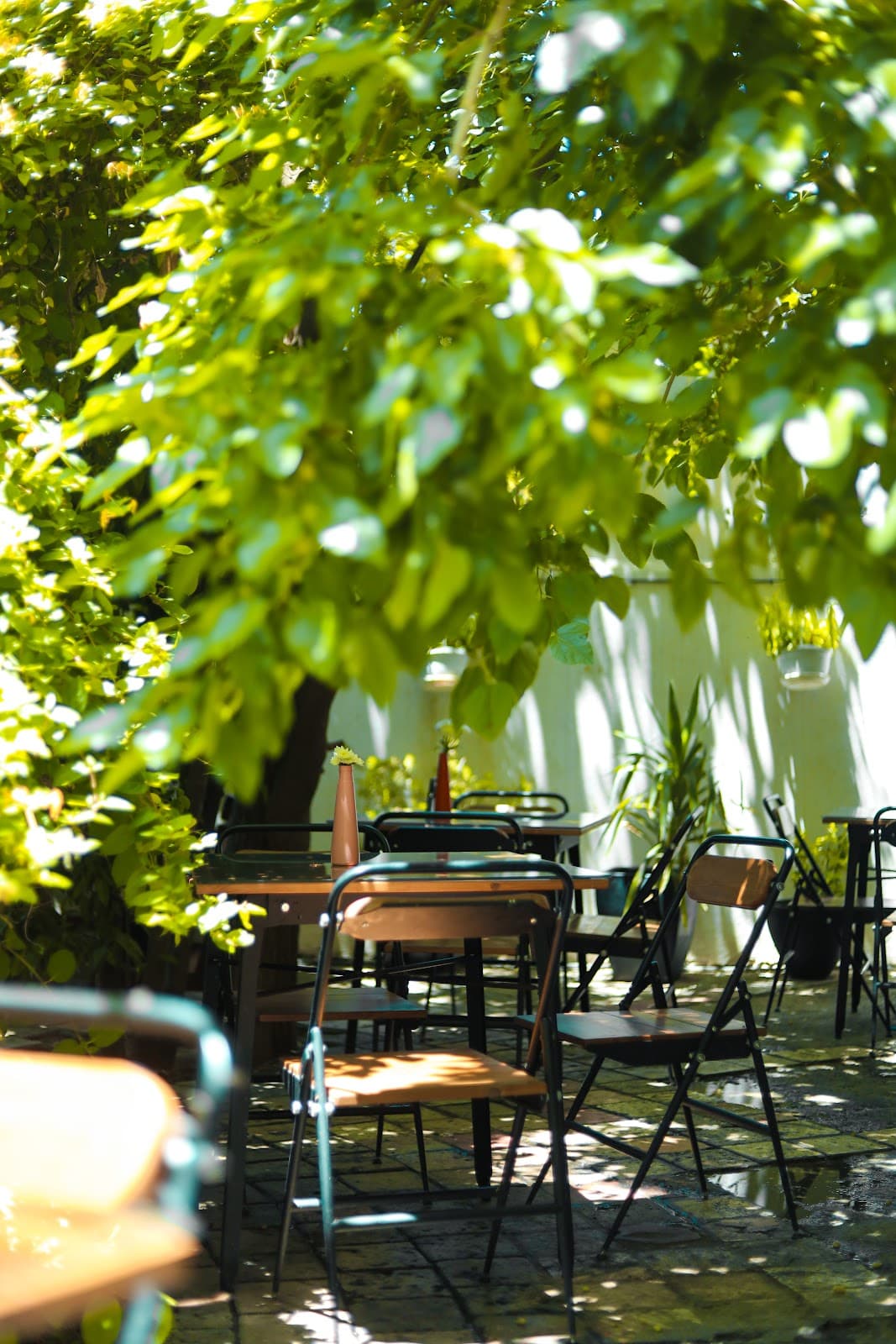 Shin Cafe