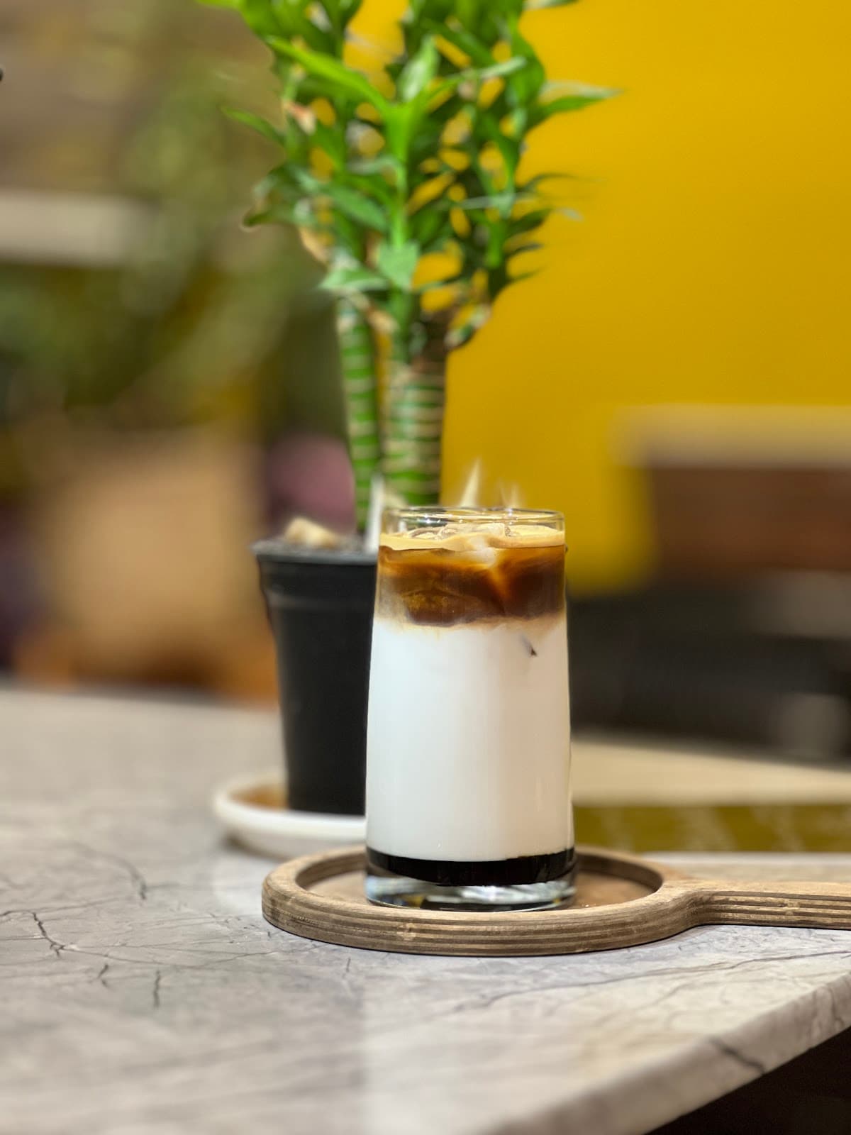 Cafe Gallery TU 3