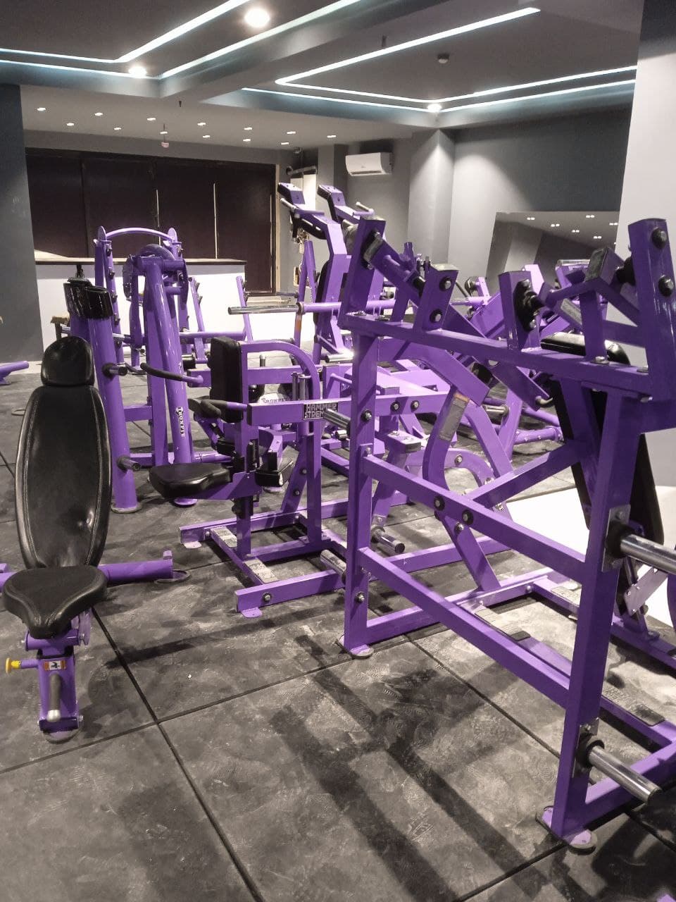 Mrs & Mr Namdar gym 2