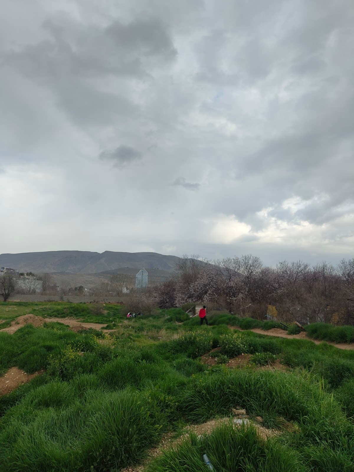 زمین خاکی فوتبال و بیسبال