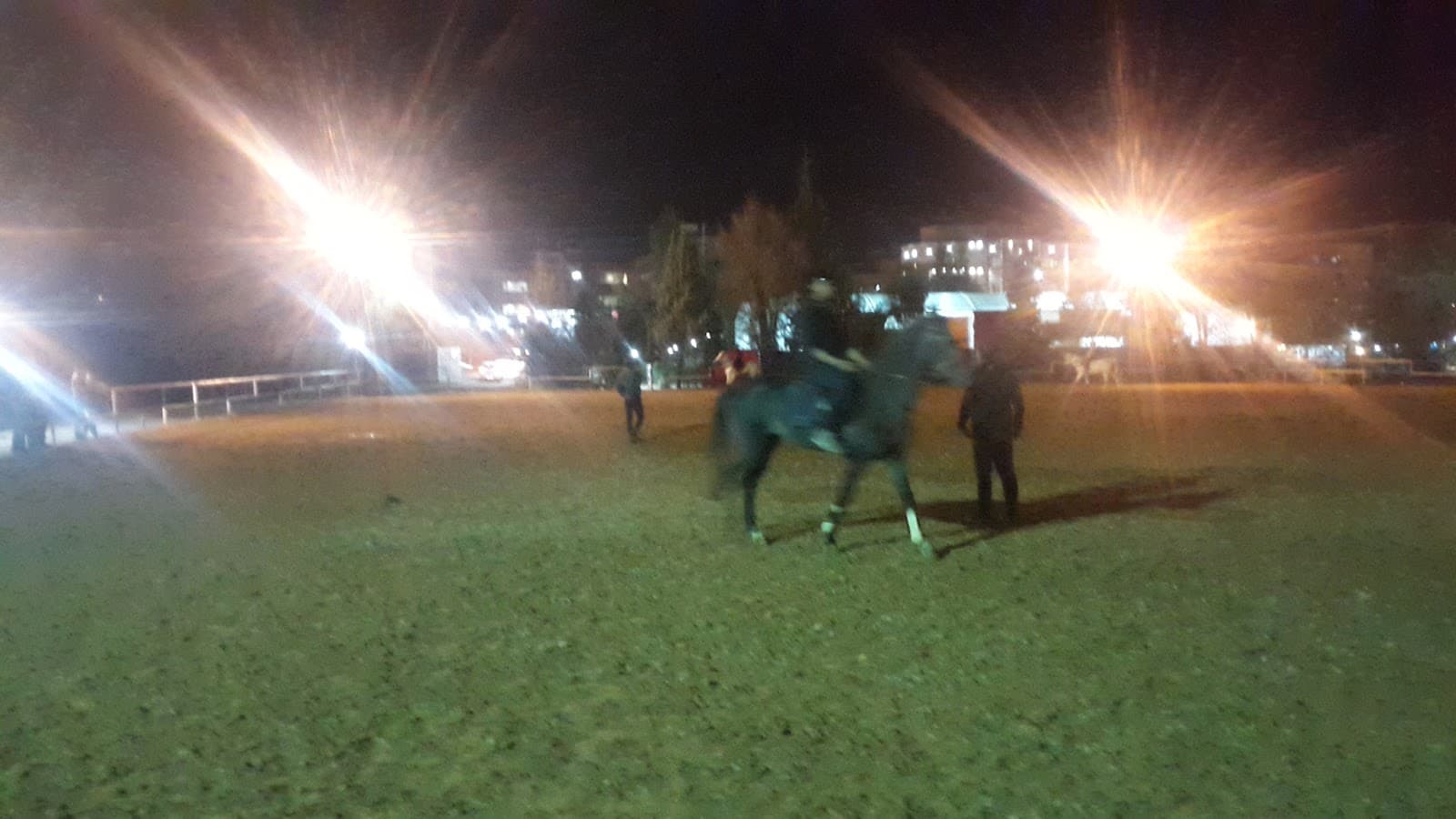 Oghab equestrian club