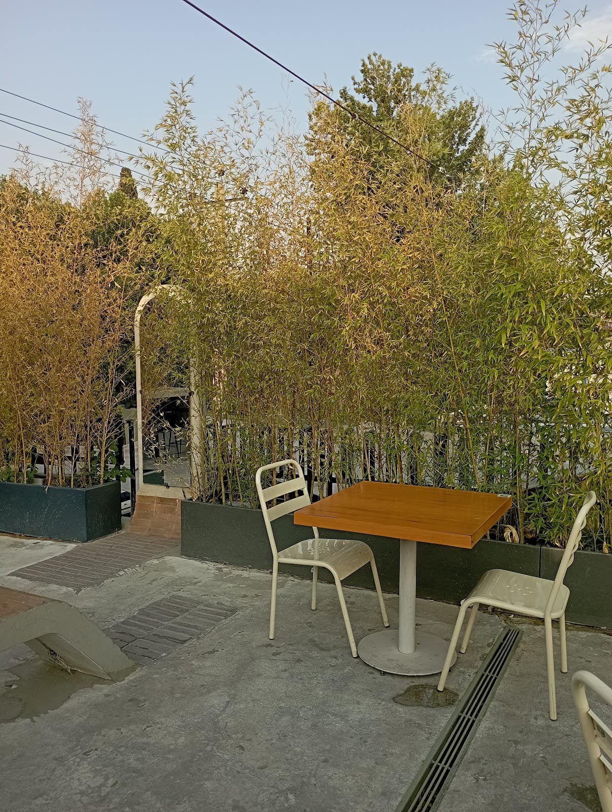 Roch Cafe