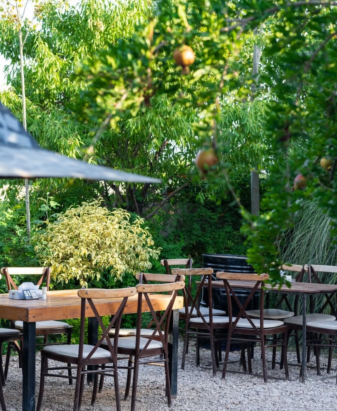 Palm Cafe Restaurant