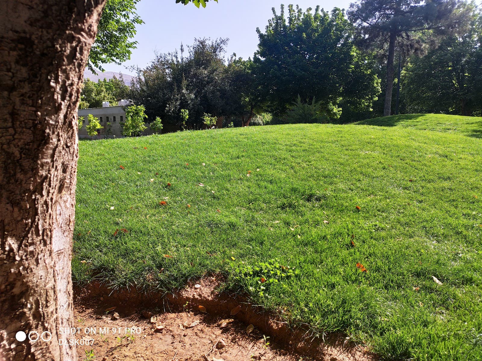 کافه خاطره 3