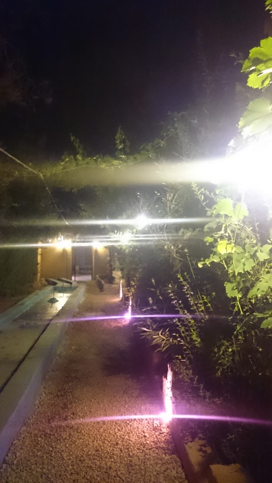 Yasna Cafe Restaurant 5