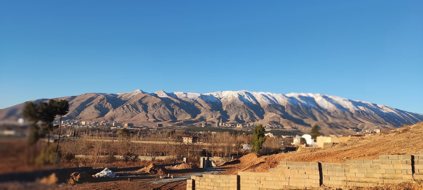 باغ رستوران پاتوق 5