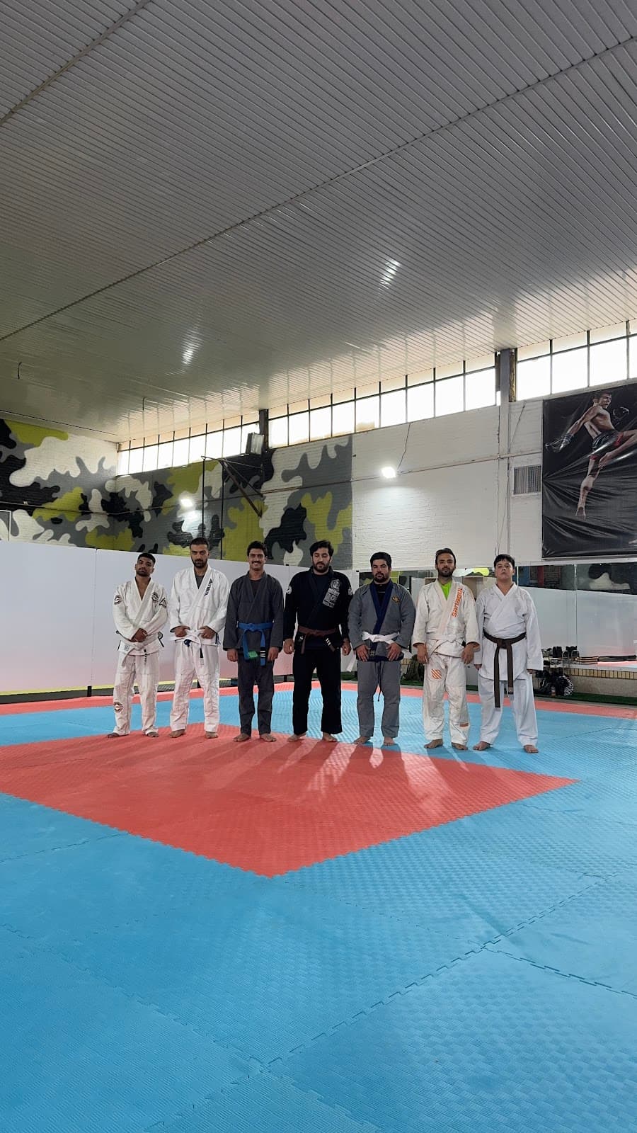 جوجیتسو برزیلی 2