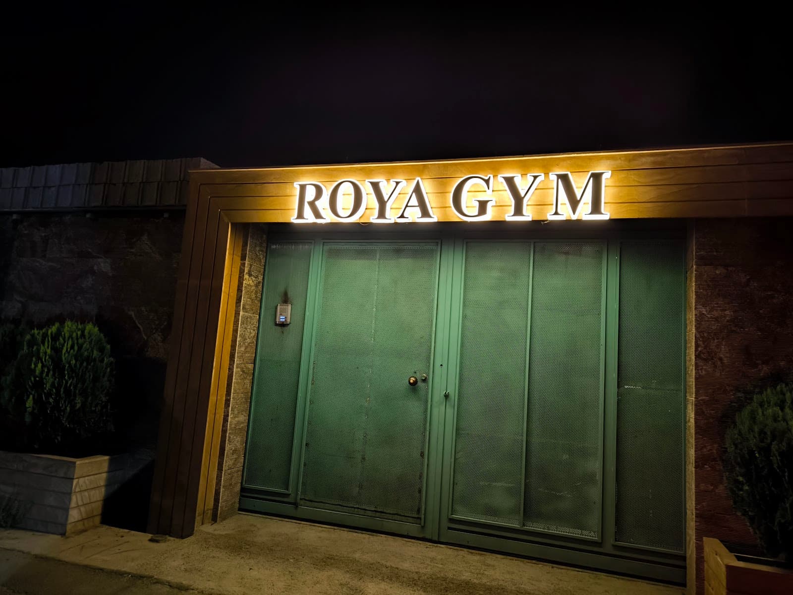 Roya gym 2