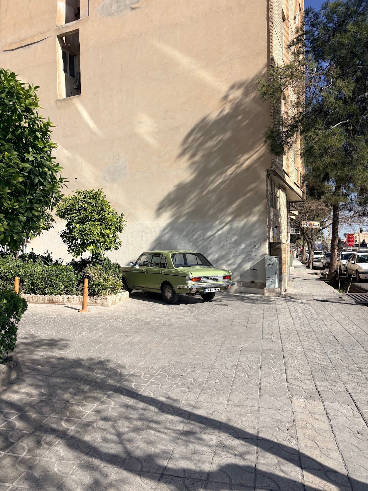 اکبر جوجه اصلی برادران کلبادی 5