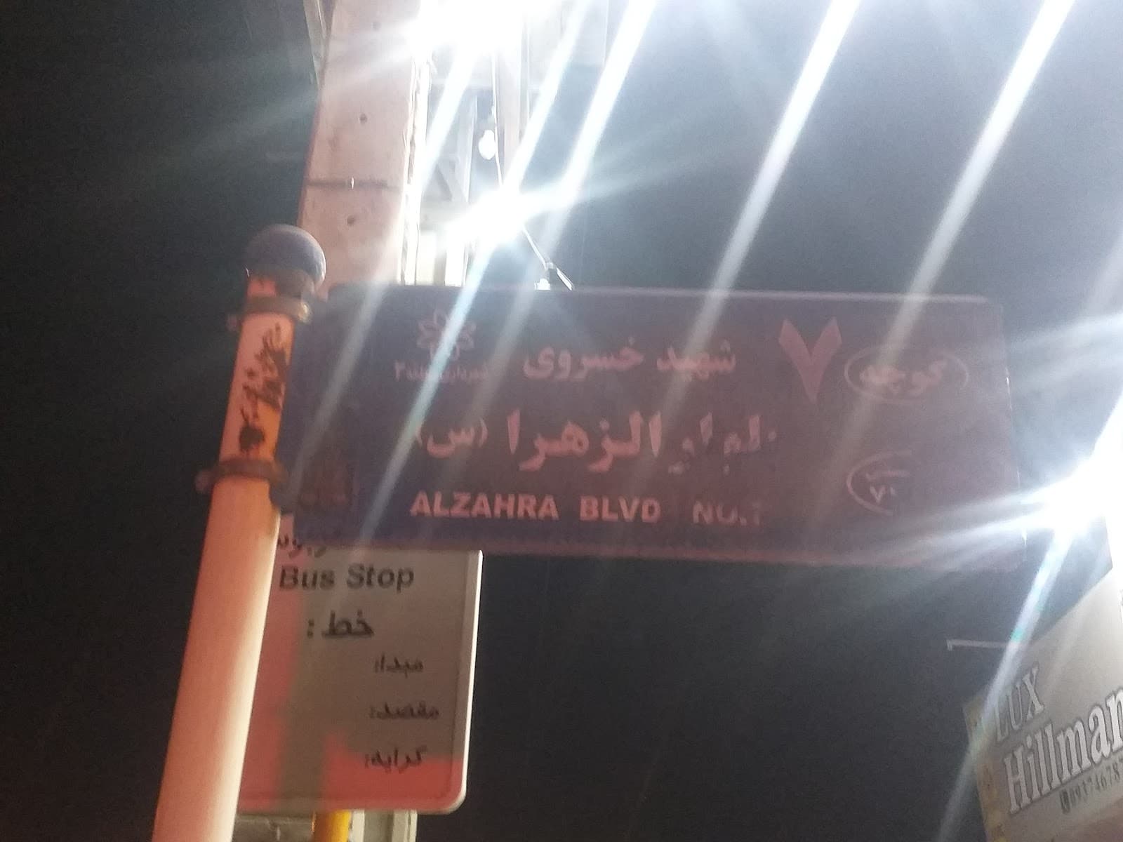 مرغ و تخم مرغ سجاد 3