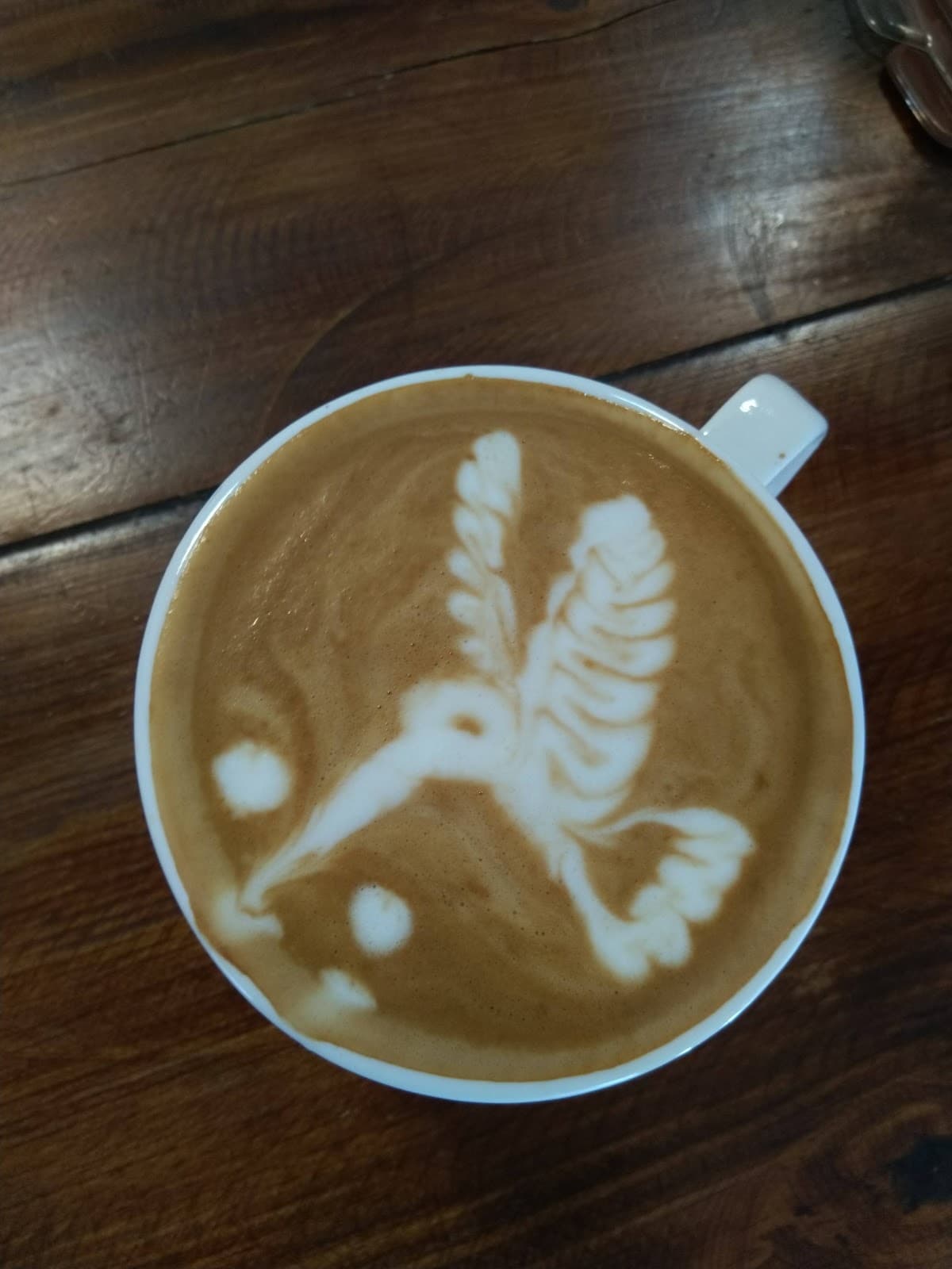 Cafe Moto 5