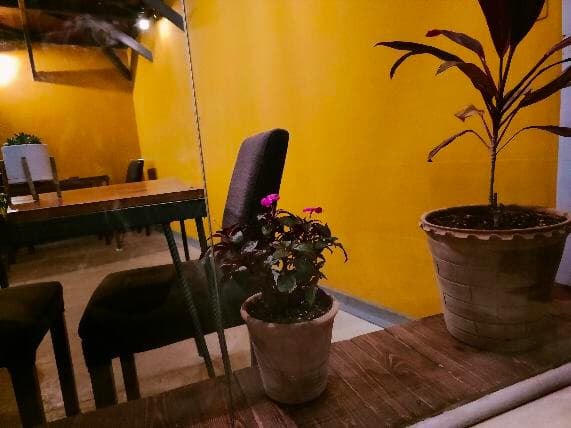 Cafe Koocheh 5
