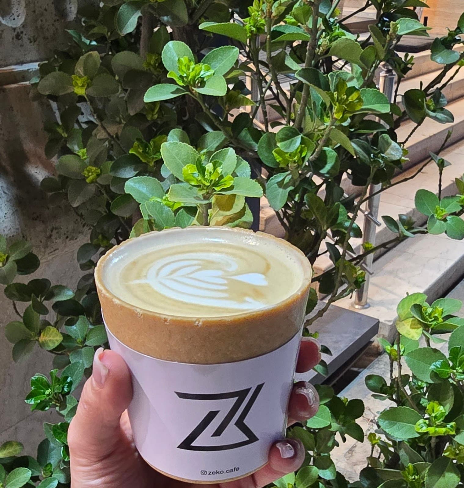 Cafe Zeko 4