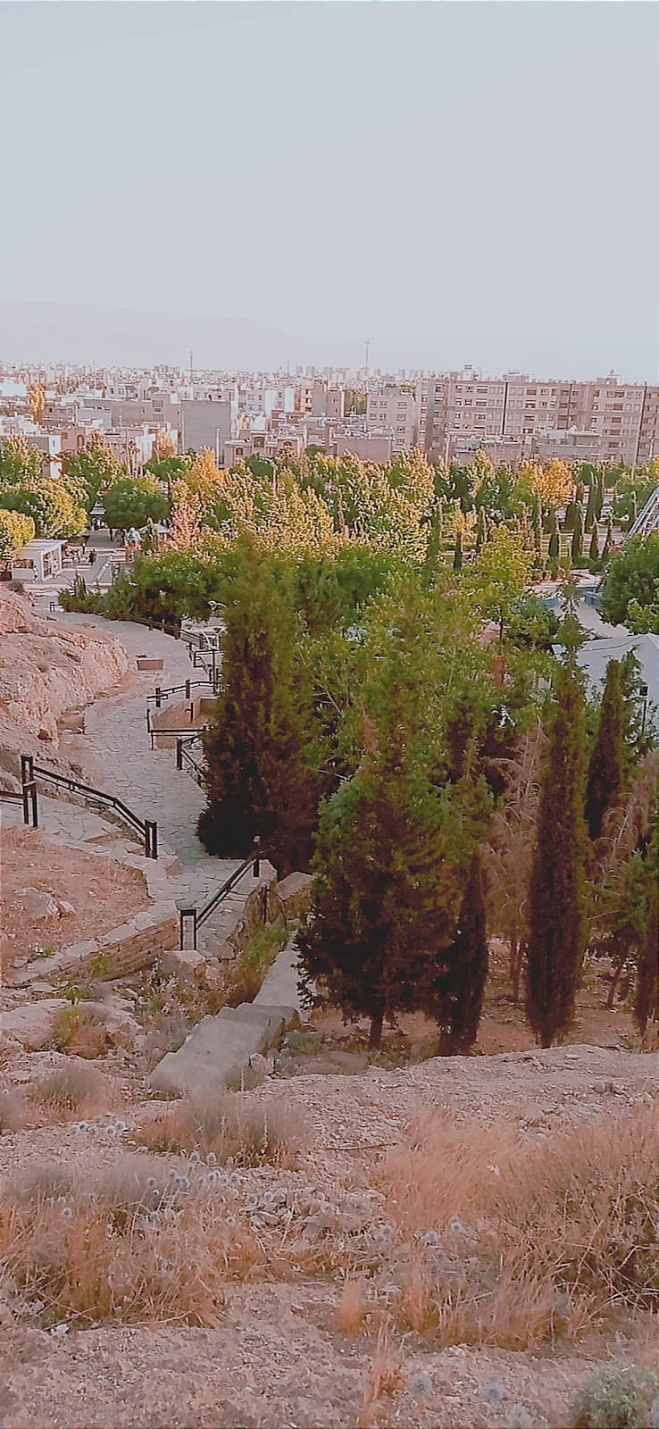 کافه گراف شیراز 3