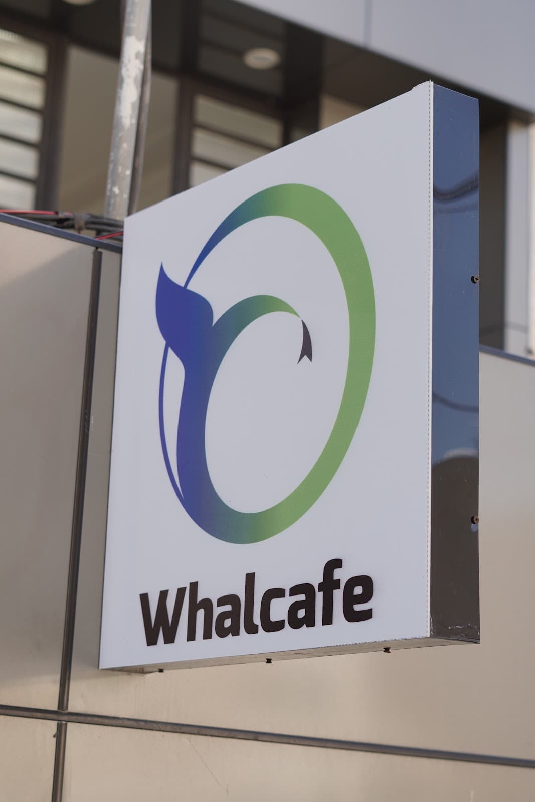 Walcafe 5
