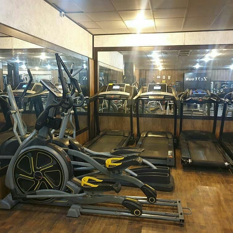باشگاه زیتون شیراز (ویژه بانوان) 4