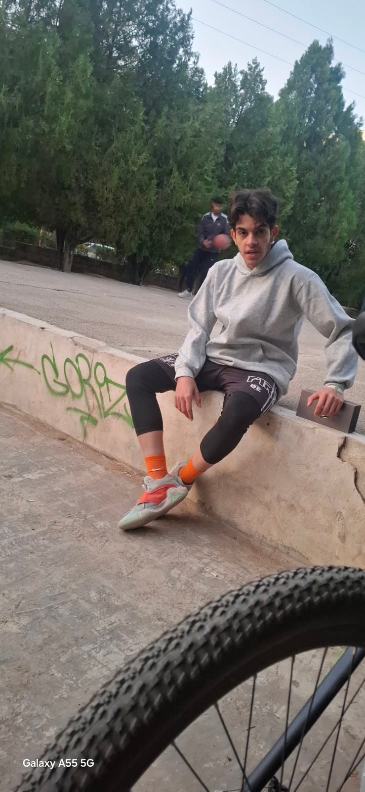 زمین بسکتبال 3